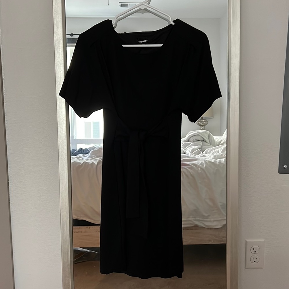 Express Front Tie Mini Dress